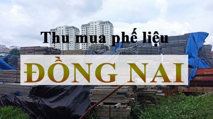 chuyen thu mua phe lieu uy tin gia cao dong nai